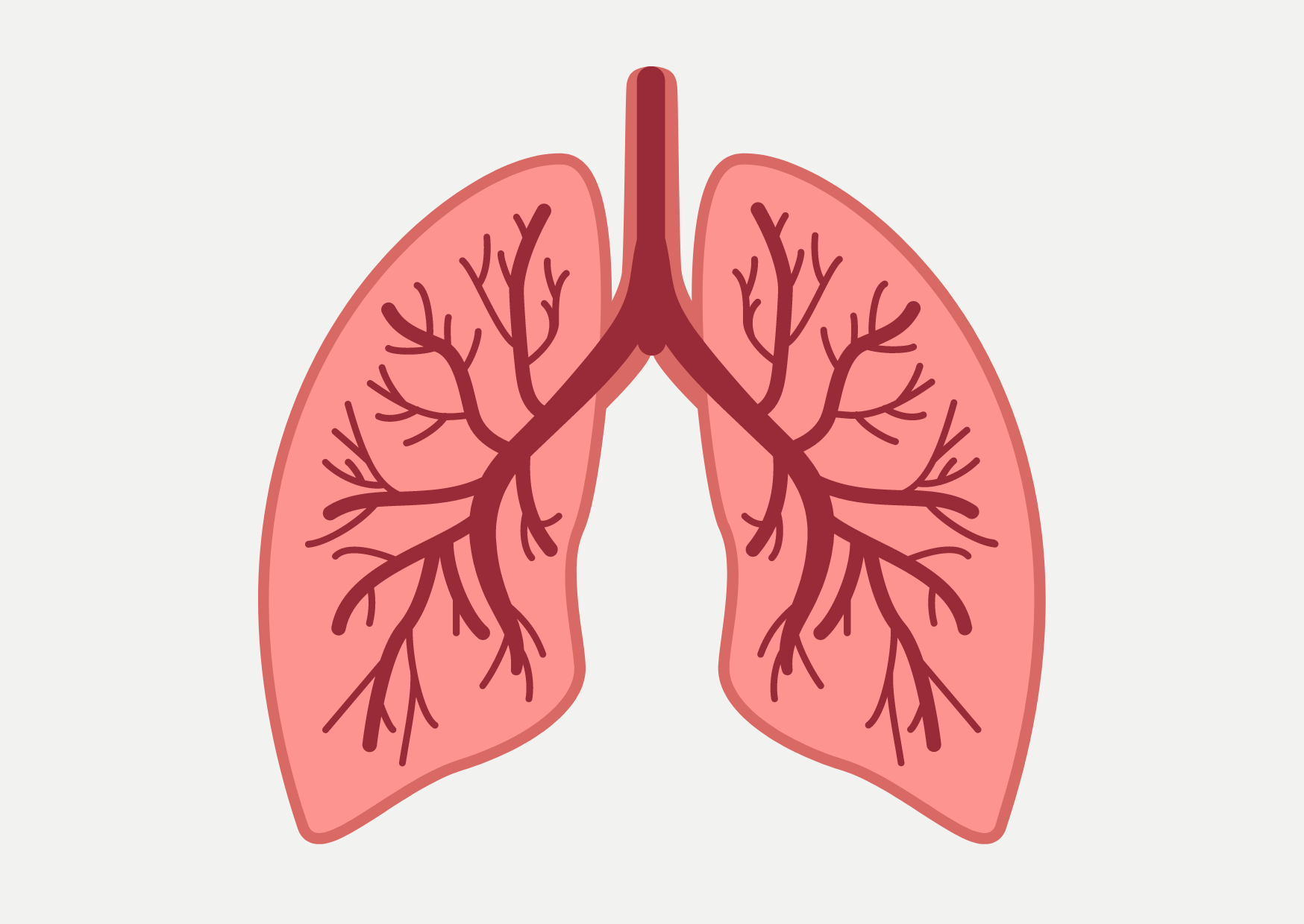 dibujo de unos pulmones