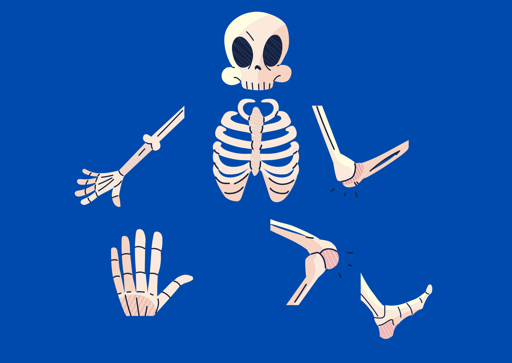 dibujos de los huesos